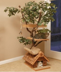casa-gatos-hogar