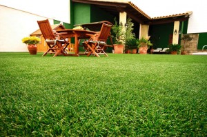 Primavera_plantas_consejos_trucos_Blog_Reparalia_cesped