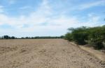 Terreno  en Venta